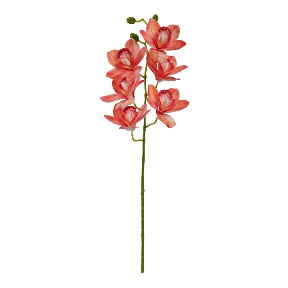 CIMBIDIUM 6 FIORI CM.68 SALMONE